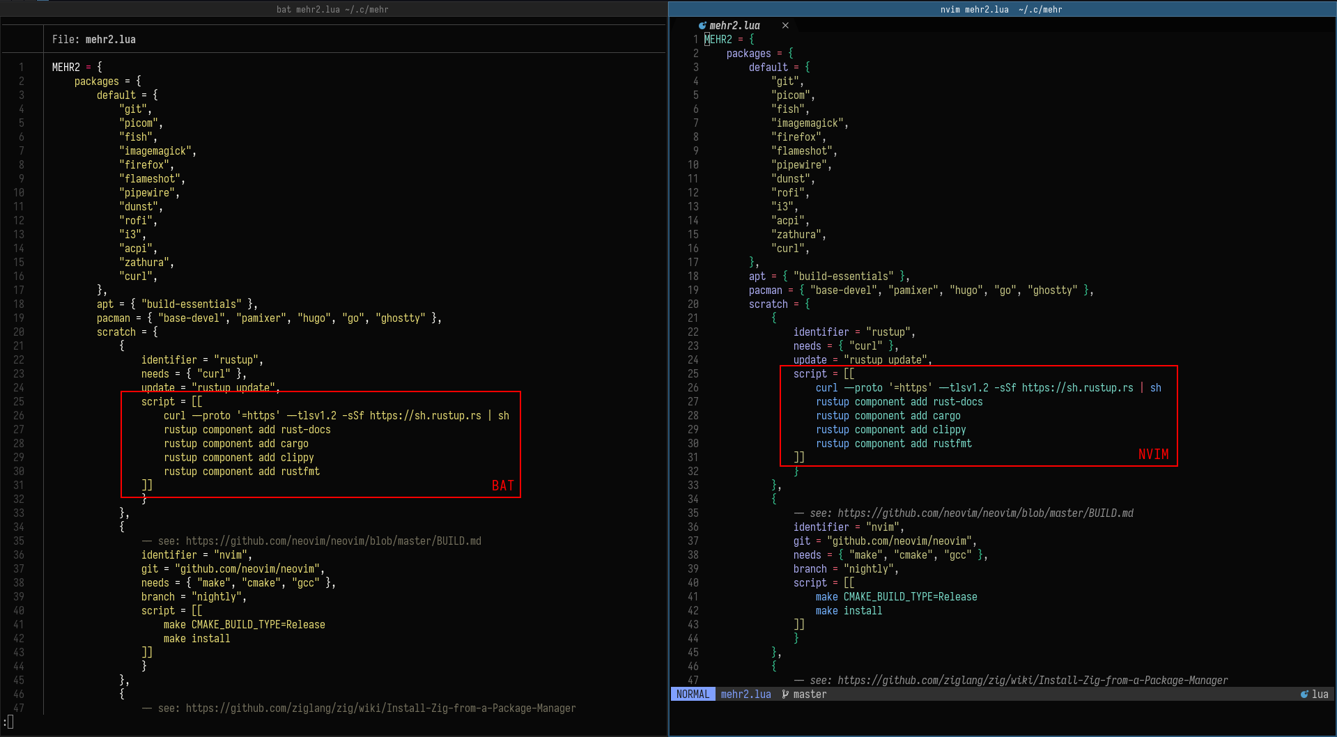 bat_vs_nvim_with_injection